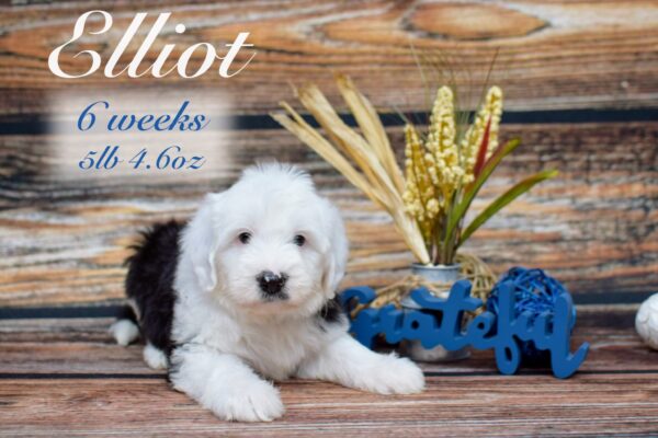 Elliot5lb4.6oz_Original