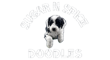 Sugar N Spice Doodles