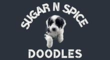 Sugar N Spice Doodles