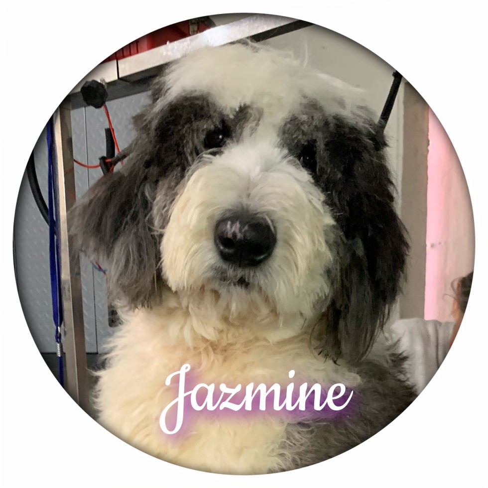 Jazmine